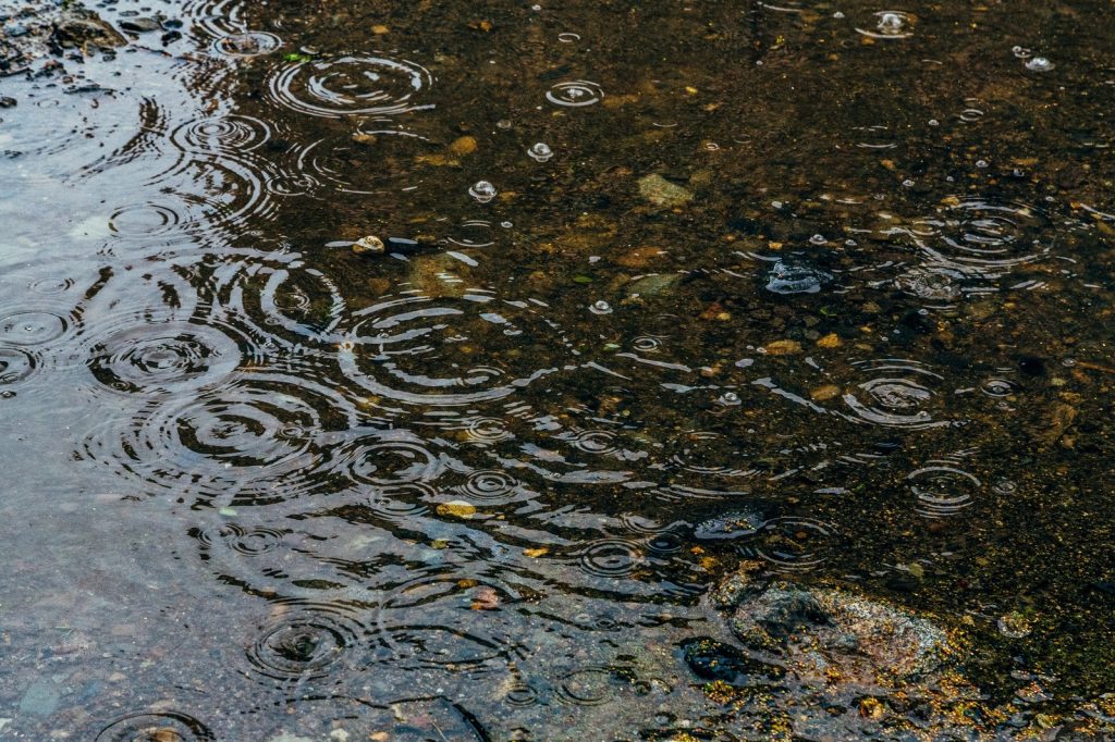 こっこれは、梅雨明けか！？待ってましたぁ～♪