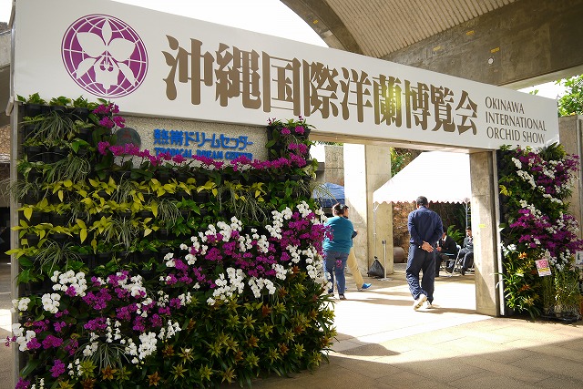 冬の沖縄おすすめスポット【熱帯ドリームセンター】沖縄国際洋蘭博覧会も開催